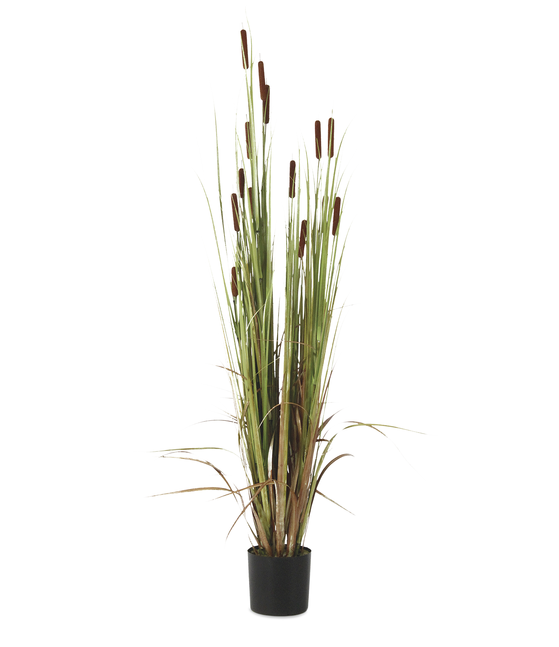 Image0