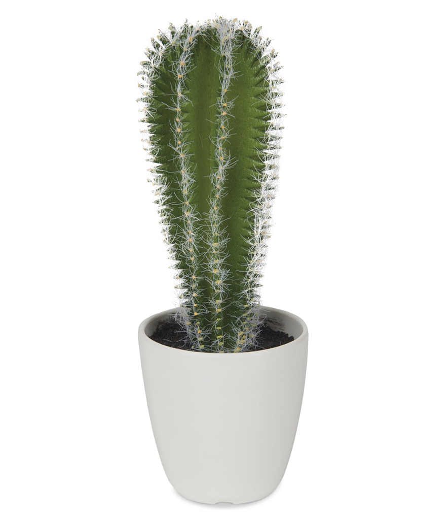 Cereus 27 cm artificial cactus with pot Pilma Interior design and decoration furniture