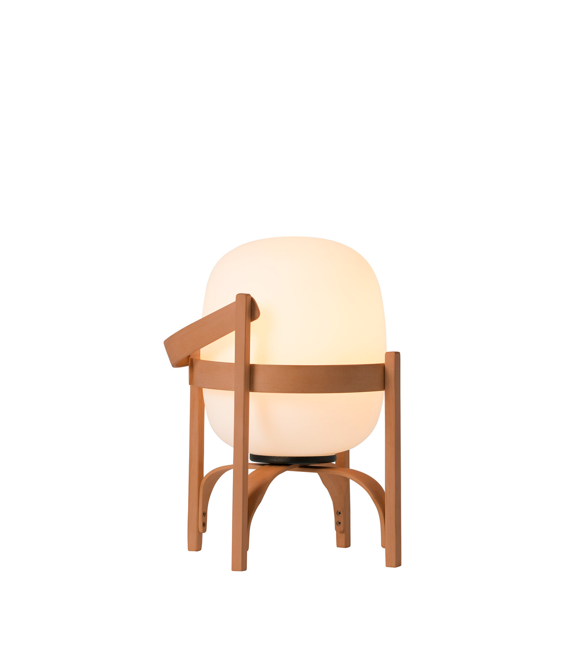 Image1