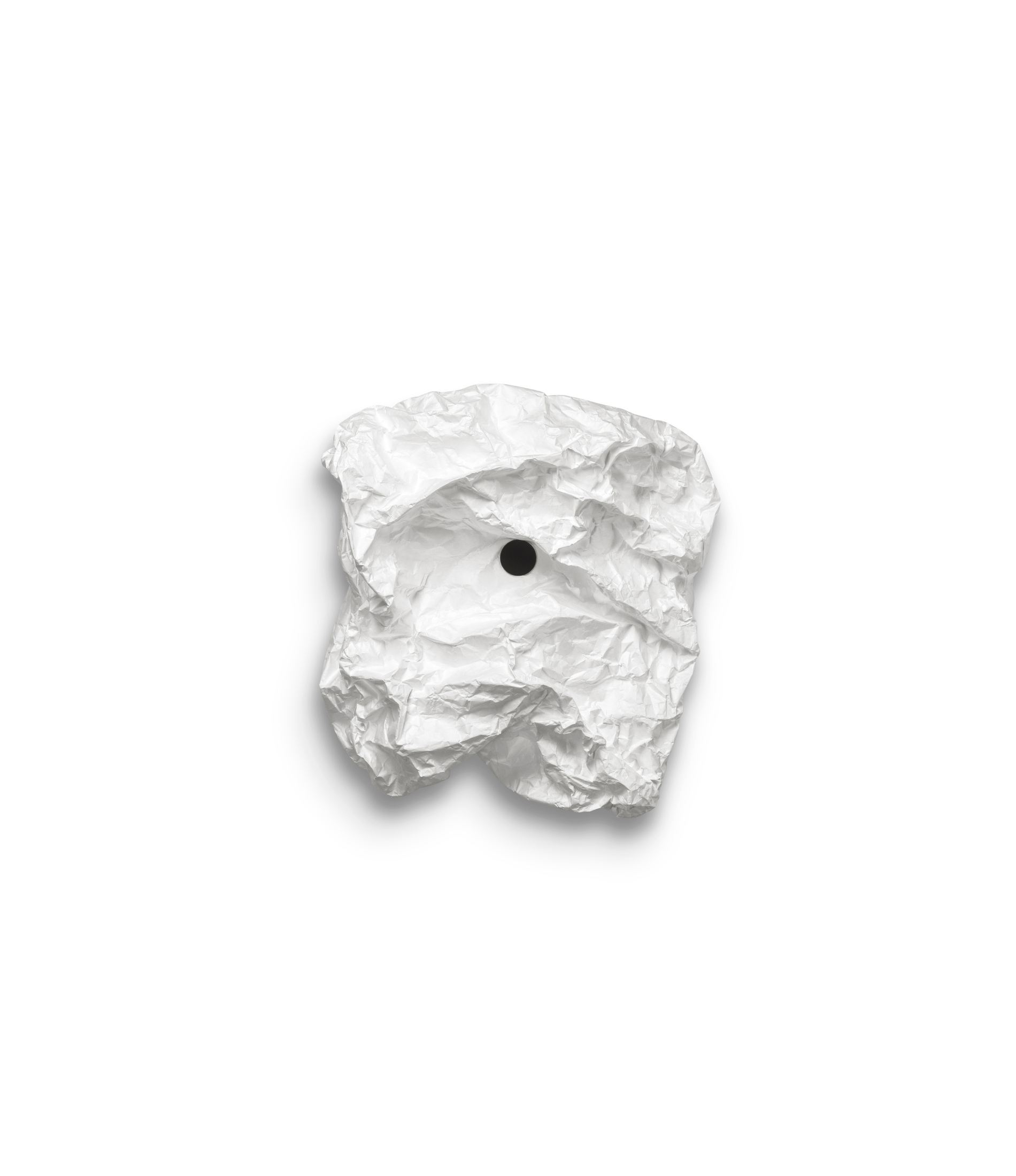 Image1